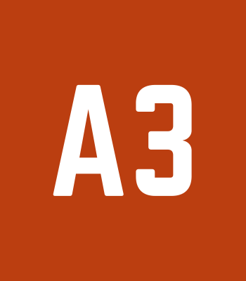 A3